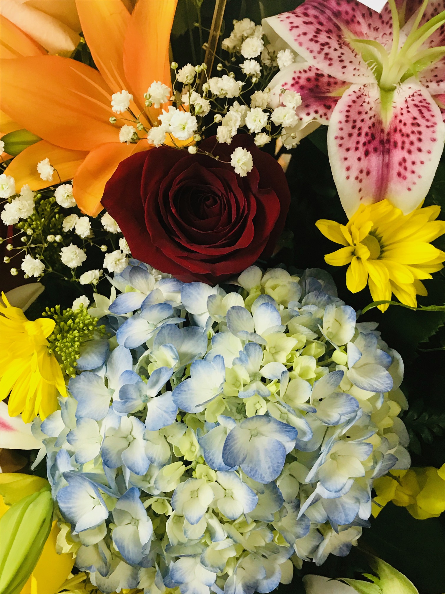 2024 Fresh Start Special!!! Churchland's Village Flower Shop