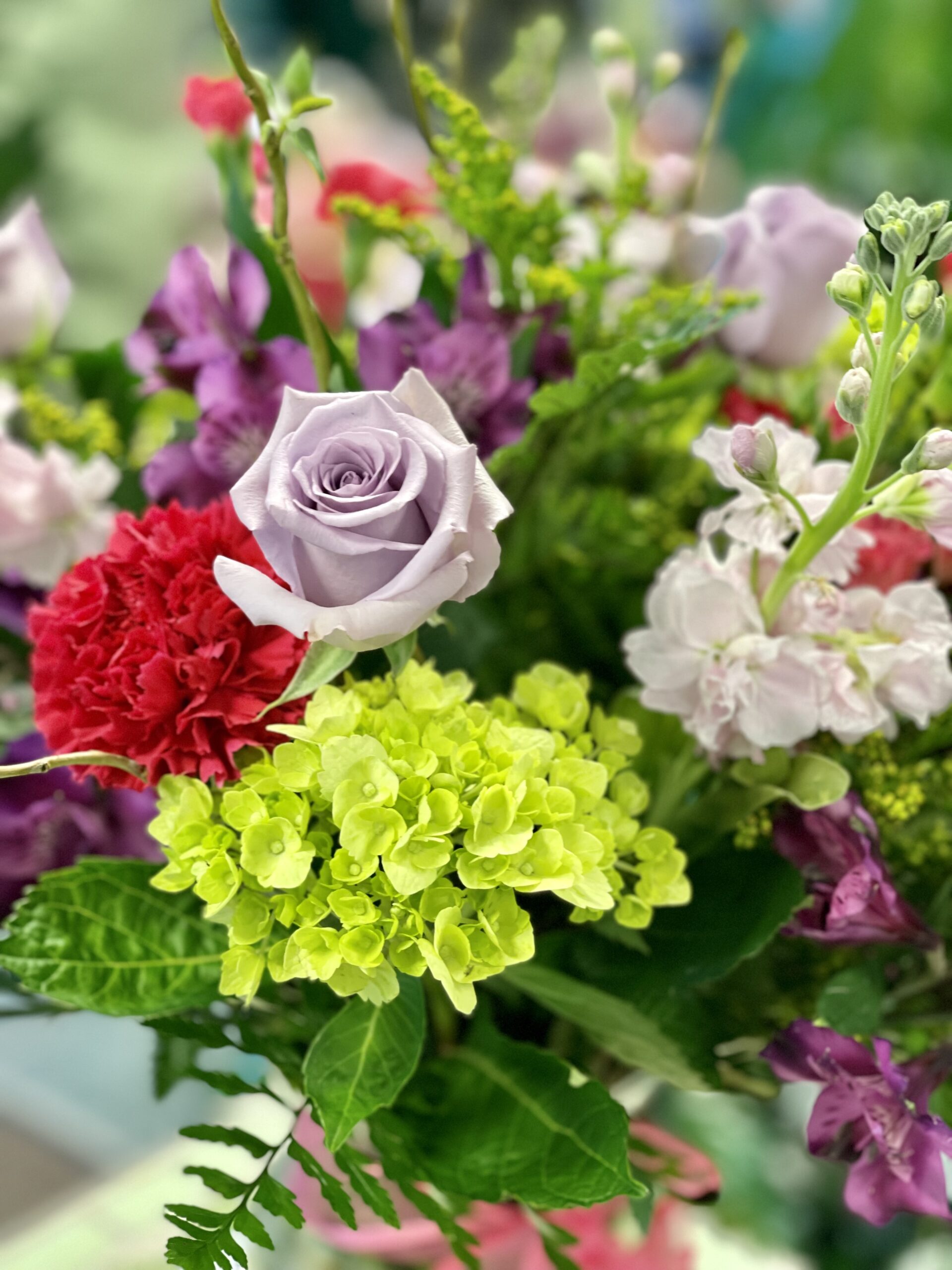 Mother's Day Special 2024 Churchland's Village Flower Shop
